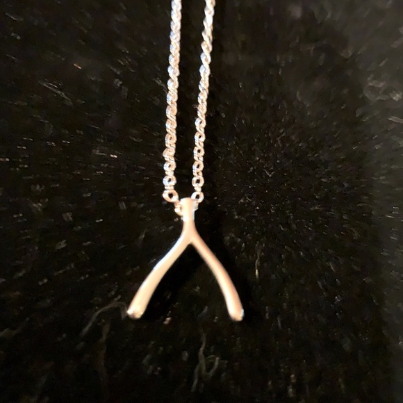Sterling Forever Wishbone Necklace NWT - Picture 1 of 5